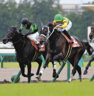 ヤマニンウルスがフェブラリーSを回避、斉藤崇師「体調が整わないため