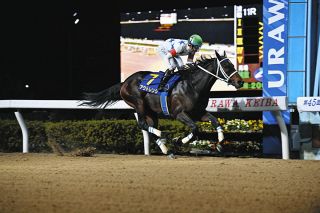 【帝王賞・枠番決定】アンタレスSを快勝したミッキーファイトは2番、東京中日スポーツ賞・浦和記念の勝ち馬アウトレンジは3番
