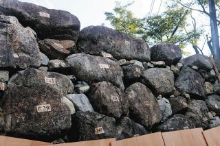 松坂城跡の壮大な石垣を守る　松阪市が整備・修復工事開始、自然石「野面積み」経年でずれ