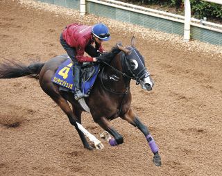 イクイノックスが世界一の走りを堂々披露 JRAタイのG1・6連勝を