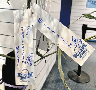 ソフトバンク20歳の吉住晴斗と来季契約せず 2018年にドラフト1位入団