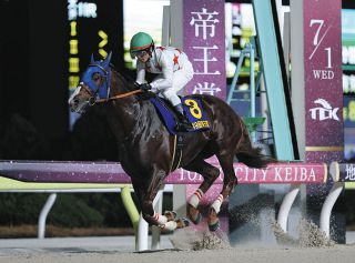 2002年皐月賞馬、ノーリーズン死す 25歳 通算12戦3勝：中日スポーツ