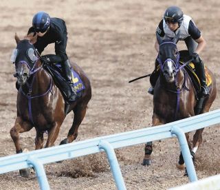 1996年皐月賞馬、イシノサンデー死す 31歳、通算22戦6勝 父は