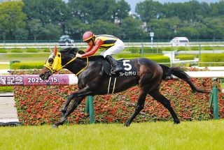 村本浩平コラム】キタサンブラック産駒ブラックチャリスに注目