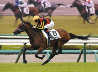 武豊インタビュー「やっぱりサイレンススズカの金鯱賞は衝撃的だった」中京競馬場を語る【競馬の話をしよう。】：中日スポーツ・東京中日スポーツ