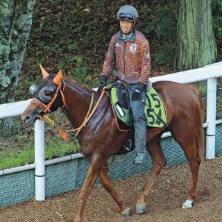 まねき馬倶楽部　年度代表馬・世界一sp 2508イクイノックス まねき馬倶楽部 年度代表馬・世界一sp 2508イクイノックス