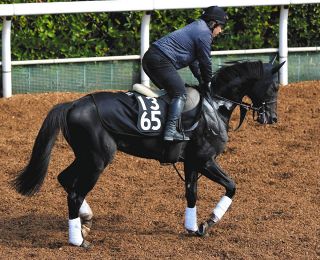 オグリにディープ…名馬がズラリ並ぶ切手発行 競馬法100周年記念【中央競馬】競馬法100周年：中日スポーツ・東京中日スポーツ