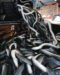 子どもの絵大好きだった 油彩画家・本紙学童作品選者 故鈴木貞夫さん