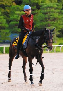 1996年皐月賞馬、イシノサンデー死す 31歳、通算22戦6勝 父は