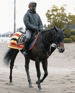 福永祐一の引退式3・4に実施、当日は入場者先着2万人に「福永祐一引退