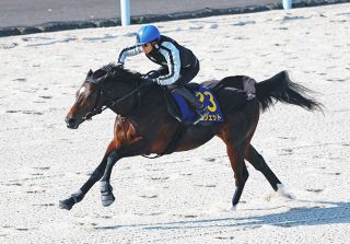 亡き父から「『いい仕事したな』と珍しく褒めてもらえた気がした