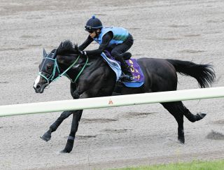 【エルムS追い切り】ドゥラエレーデ、久々でもパワフルな動き 寺田助手「レースに行けば一生懸命走ってくれるので」ダート重賞初Vに期待