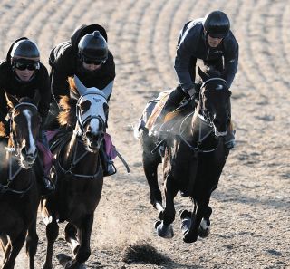 亡き父から「『いい仕事したな』と珍しく褒めてもらえた気がした