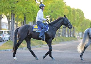 【ダービー・吉田稔さん予想】スムーズに乗れれば力は出せるクロワデュノール本命　相手は大外でも武豊騎手起用のサトノシャイニング