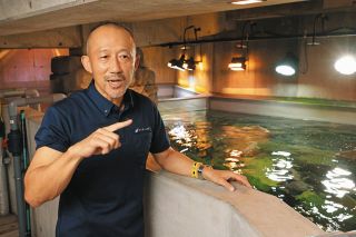 メコンオオナマズを各務原に連れてくることが最初のミッションだった【アクア・トトぎふの人々㊤】