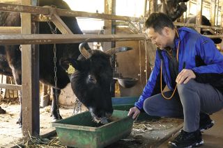 地域巻き込んで育てた「恵産牛」今年も出荷　恵那市の牧場で肥育、飛騨牛の血を引く経産牛