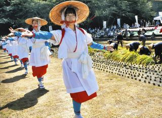 早乙女姿で斎田の豊作祝う　恵那で小中生らも「次米抜き穂祭」