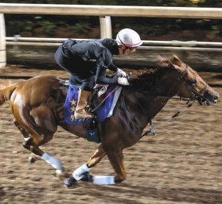 2002年皐月賞馬、ノーリーズン死す 25歳 通算12戦3勝：中日