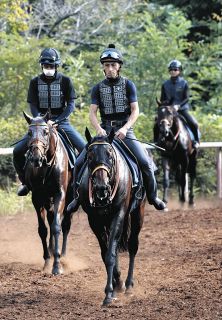 昭和52年 宝塚記念 トウショウボーイ 武邦彦 昭和52年 宝塚記念 トウショウボーイ 武邦彦 昭和52年 宝塚記念