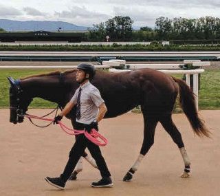 【なでしこ賞】2歳JRAレコードでスカイメテオが連勝　菱田騎手「とても落ち着いて走ってくれた」、小椋師「この先が楽しみ」