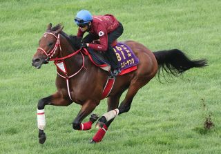 小泉恵未コラム】東京大賞典でのフォーエバーヤングの姿…坂井瑠星騎手