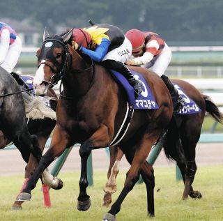 23年スプリンターズS制覇ママコチャが競走馬登録抹消　今後は北海道で繁殖場に