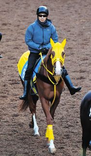 アイドルホース ソダシ ラッキーライラック リスグラシュー ユーバーレーベン 2025年最新】ラッキーライラック アイドルホースの人気アイテム