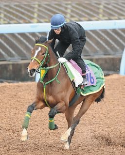 【チャーチルダウンズC】アネモネS4着のファンクションに相田助手「イメージ的には好位に行くのがいい…まずは発馬を決めてほしい」