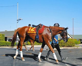 【非売品】リアルアクションジョッキーズ 武豊ディープインパクト騎乗モデル 非売品】リアルアクションジョッキーズ 武豊ディープインパクト