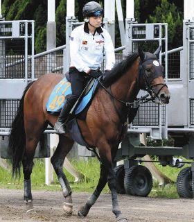 松山弘平コラム・秋華賞直前特別版】追い切りに4回またがった感想