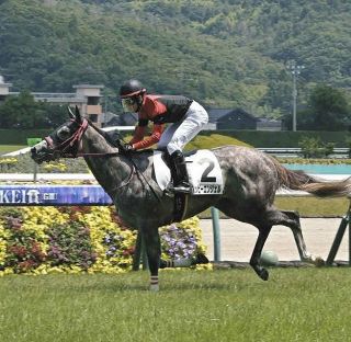 【福島6R新馬】2番人気ハッピーエンジェル3番手追走…直線で前かわす　遠藤汰月騎手「自信持って乗れた、先々が楽しみになる勝利」　