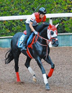 JRA賞】ジャパンC制したカランダガンに特別賞、外国調教馬では史上初