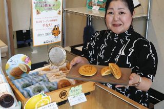 日本遺産カード　★　高山市　全48枚　コンプリート 文化財撮って日本遺産カード集めて 全48種、高山市が22日