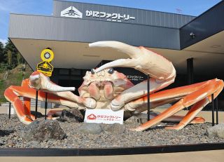 輪島塗蒔絵師 坂井で再開 能登地震で被災 坪井さん故郷に工房 ：日刊
