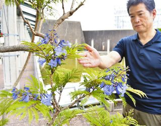 木梨憲武さん 感性光る個展 地元ガラス作家との共作も：北陸中日新聞Web