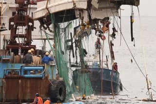 小型船転覆3人死亡事故「浅瀬、暗礁などに接触した可能性」　運輸安全委員会が指摘、答志島沖で2024年に発生