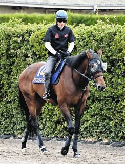 中山グランドジャンプ】5番人気エコロデュエルが優勝 草野騎手はJ・G1