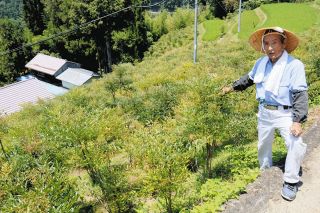 人口1391人の長野県泰阜村、村長選控えているけど…　増える荒廃農地に減る人口、未来の担い手確保するには