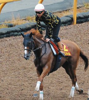 アーモンドアイが“世紀の一戦”ジャパンカップで有終の美…コン