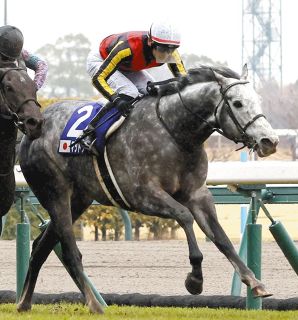 有馬記念企画】ルメール＆ハーツクライ、人馬ともに殻を破った05