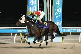 迫る新種牡馬産駒の2歳馬デビュー サトノダイヤモンドらに加えて実績