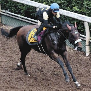 2000年のダービー馬アグネスフライトが老衰で死ぬ 26歳 ：中日