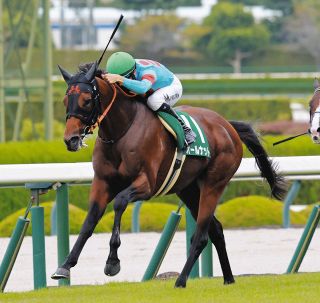 大井競馬】武豊のディープインパクトは「飛んでいた」 「JRAジョッキー