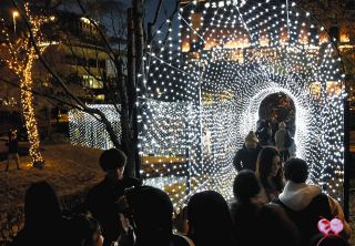 輝く木々と光のアーチ　多治見駅北広場でイルミネーション