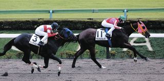 【東京新馬戦】3番人気アメリカンフレンズが逃げ切りV　津村騎手「まだ伸びしろがある」　藤岡健師「まだ絞れるし、これから」