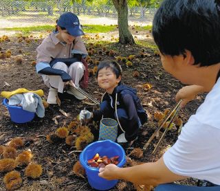 親子で栗拾い、大粒に笑顔　中津川マロンパークが今季営業開始