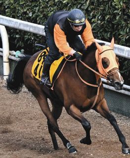 函館記念】デビュー4年目の小林美駒騎手がほろ苦い重賞初制覇