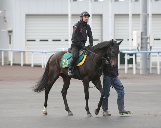 セレクトセール2025】ノームコア2024に4．1億円 金子真人HD（株）が