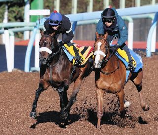 前走Vのパラレルヴィジョン、シャープに伸び同入 初コンビの戸崎「今の中山の馬場は合う」【ダービー卿CT追い切り】