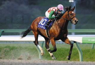 絆✨ジャスティンミラノ✨絆【デビューからクラシック軌跡】 ジャスティンミラノ - Justin Milano - 競走馬データベース